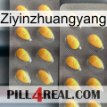 Ziyinzhuangyang cialis2